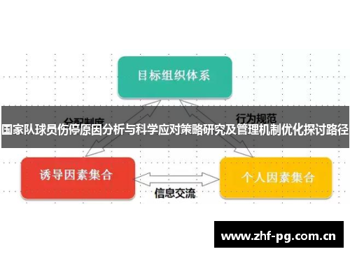 国家队球员伤停原因分析与科学应对策略研究及管理机制优化探讨路径