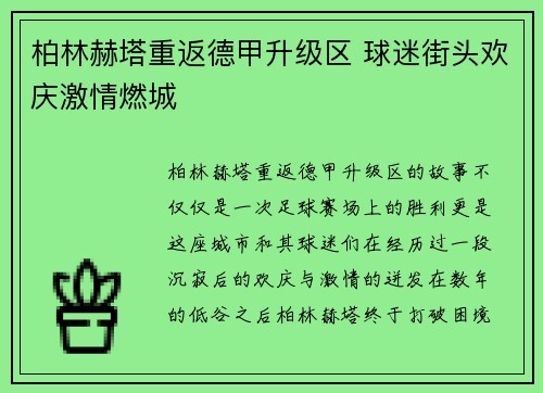 柏林赫塔重返德甲升级区 球迷街头欢庆激情燃城